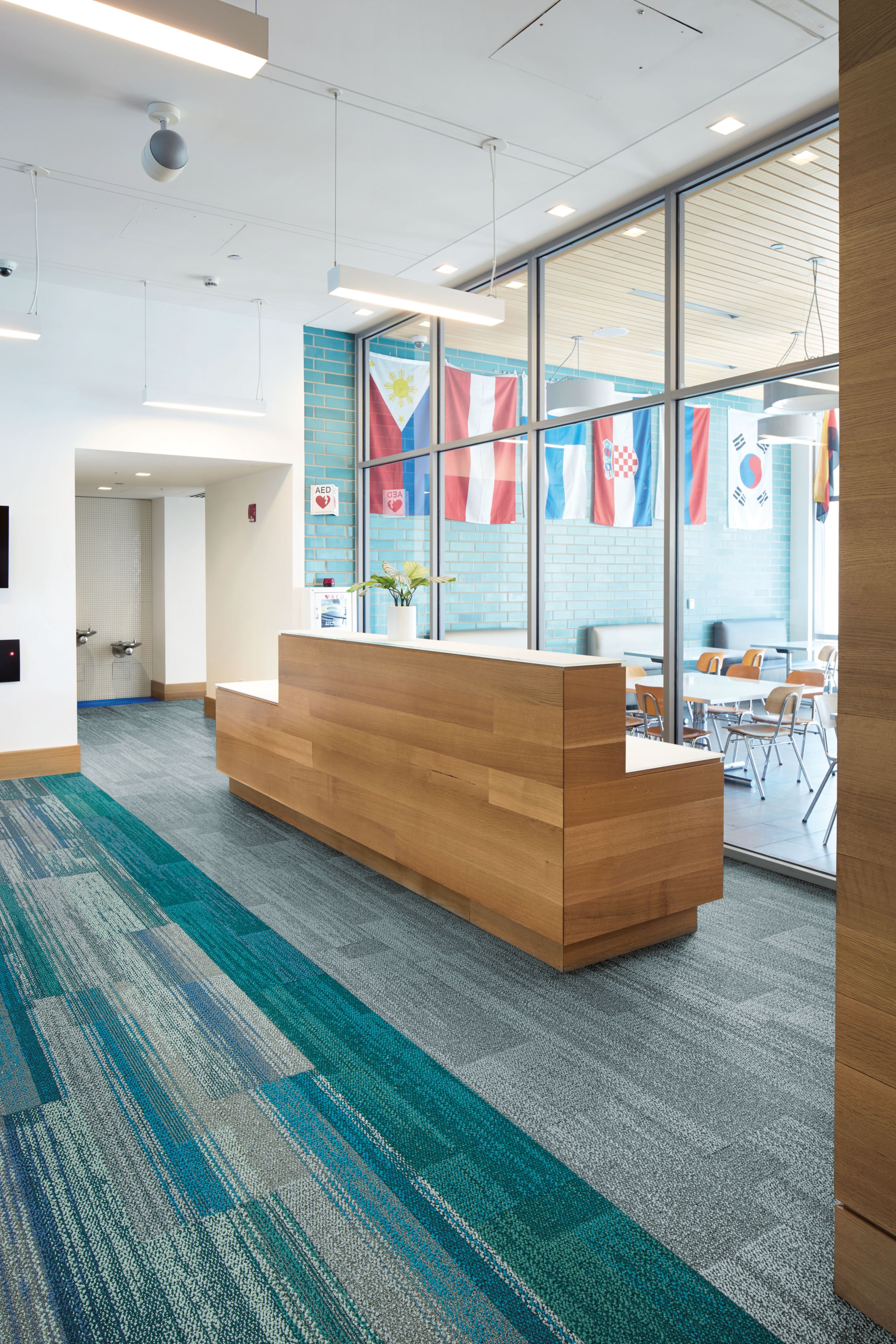 Interface Aerial Flying Colors AE311, AE315 and AE317 plank carpet tile in school lobby numéro d’image 4